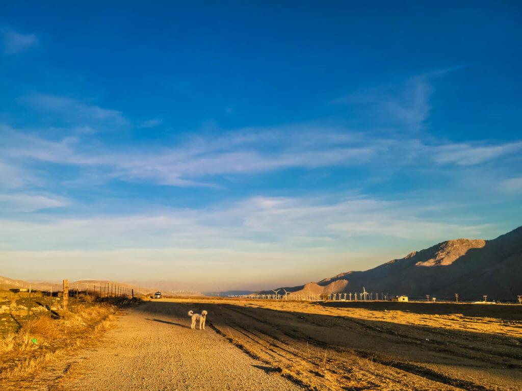Desert landscape with dog and camper.